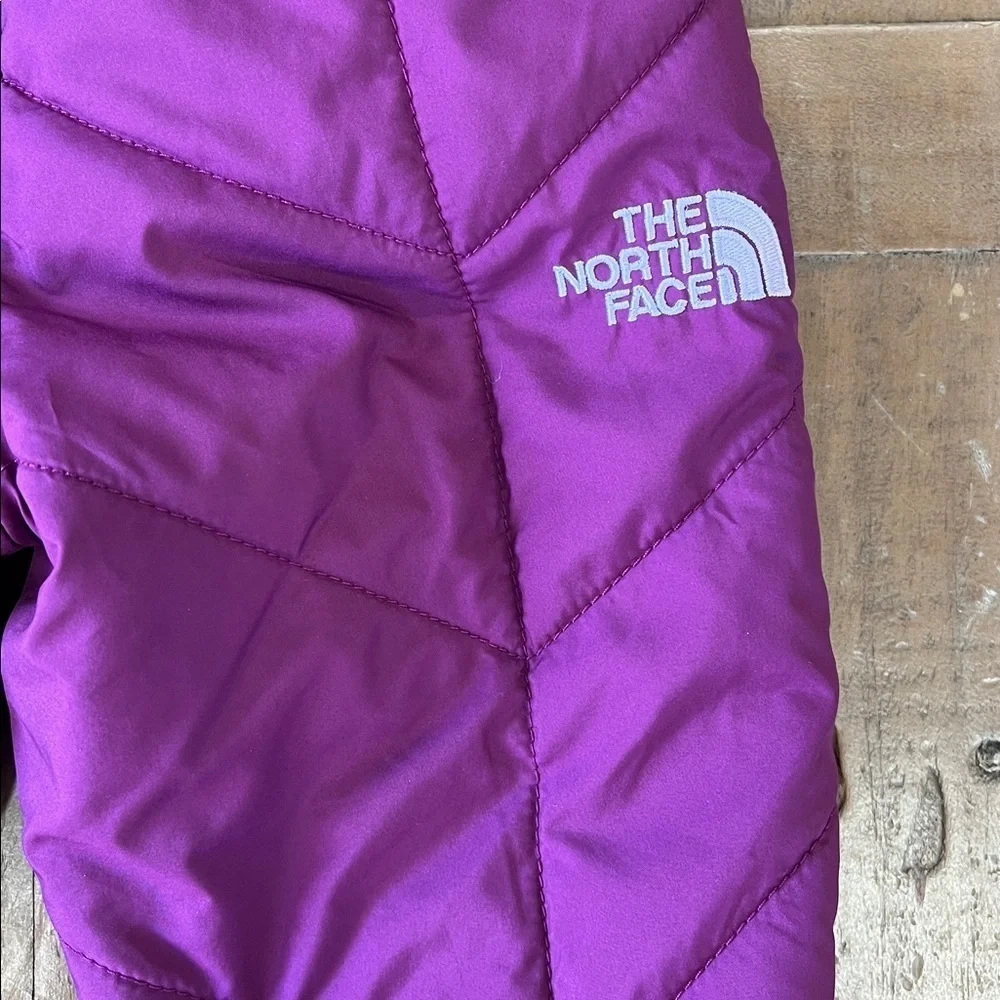 The North Face Perrito reversible snow pants 6-12 months owls berry nwot